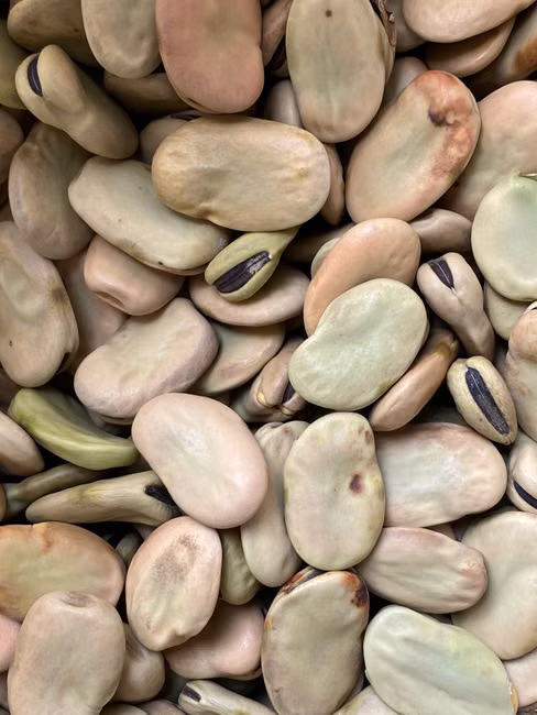 Sabão em Pó (1kg)